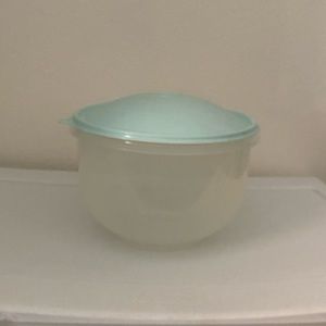 Tupperware Bowl with Dome Lid